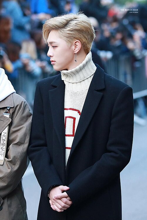 クォン・ヒョンビン / 권현빈